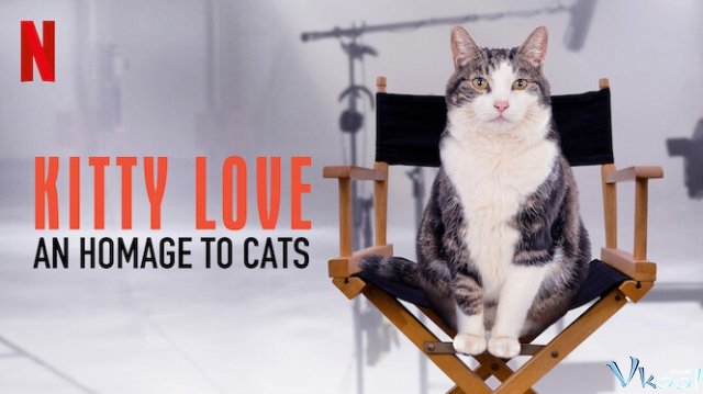 Xem Phim Kitty Love: Mèo Cưng Nhà Mình - Kitty Love: An Homage To Cats - Vkool.TV - Ảnh 1